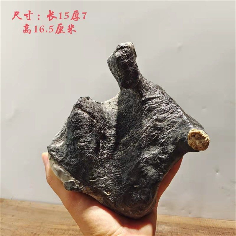 天然石灵璧石盆景石 鱼缸造景 龟纹石 根抱石 花盆造景 盆景石料