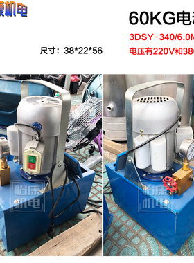 上海飞舟试压泵S-SY--/ 手动便携式管道测压机 SYL-31/.3