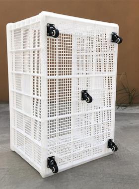 塑料筐13415带轮子大号长方胶形加子框镂空厚快箱递服装中转周转