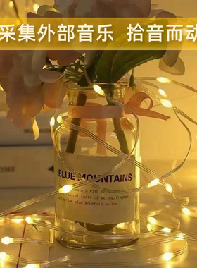 皮线氛围灯5V低压幻彩智能点控灯带室外防水节日求婚背景装饰灯串