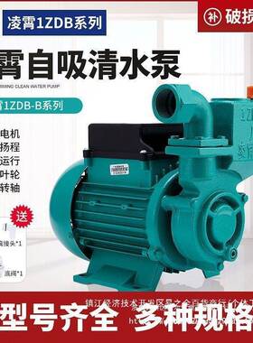 广东4牌凌霄水泵1ZDB5/5/653型自吸清水泵家用自来水抽ACW水机增