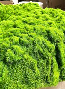 仿真植IET绿园植墙苔藓青苔地毯物草坪景观铺设门头水族长廊林文
