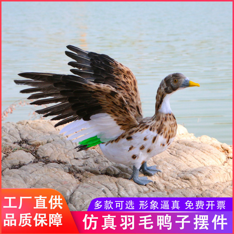 仿真羽毛鸭子模型装饰农场货架造景道具绿翅鸭黑鸭麻鸭工艺品摆件