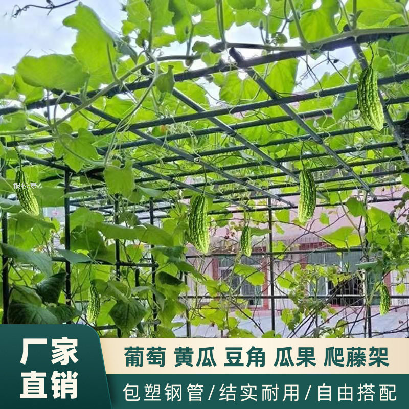 葡萄架户外庭院楼顶搭棚天台棚架组装百香果苦瓜攀爬铁架阳台植物