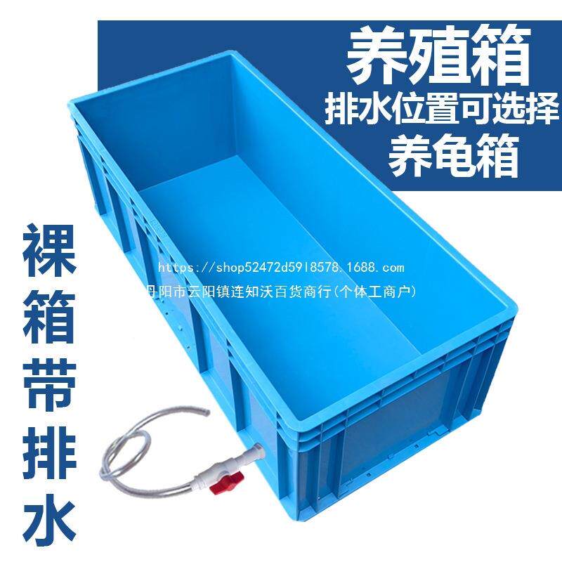 厚龟带排水养殖箱水族箱箱鱼缸大GGC型箱子长方塑料箱形宠物用品