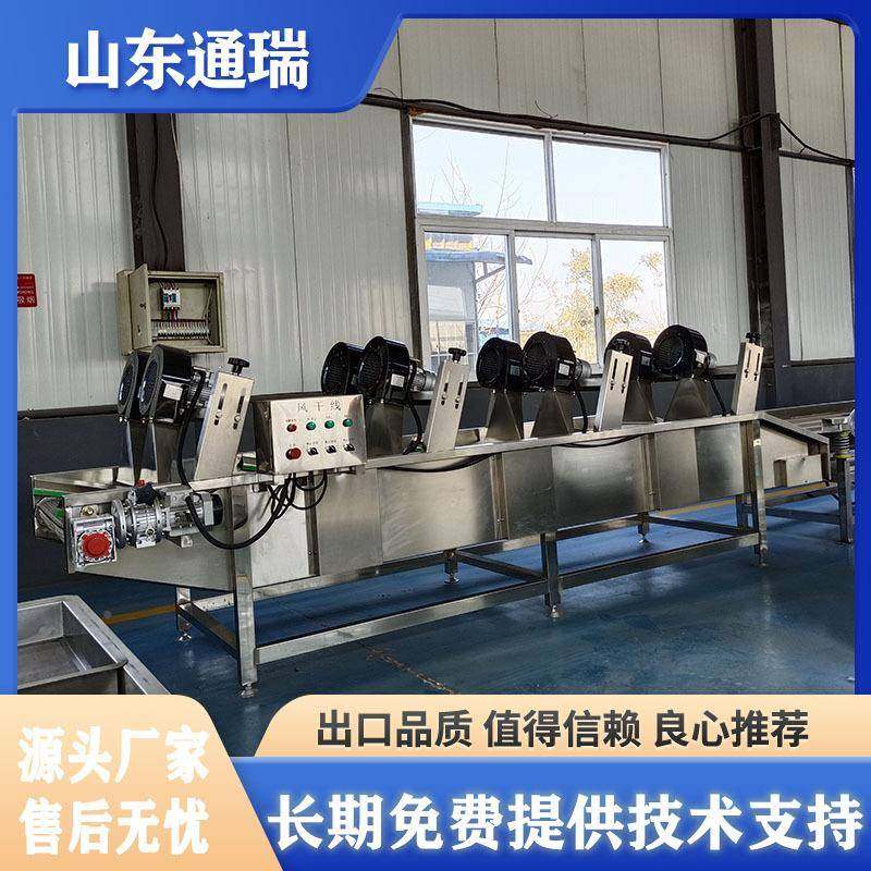 白机菜枣清洗振动沥水风干商用温风常翻转式除大水TR-17616机风干