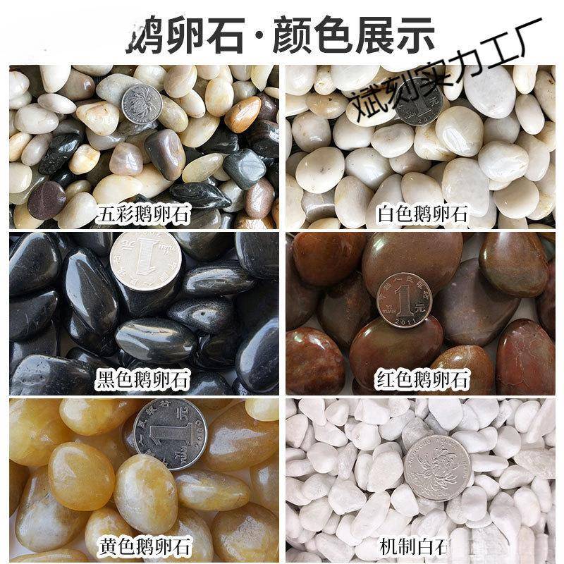 158花盆里的鹅卵石阳台地卵面装个园性花饰鹅石鱼缸景观户外院子