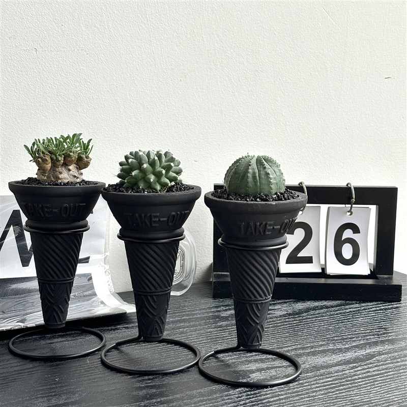 潮流块根植物仙人球盆栽创意礼品办公室桌面红太阳布纹球雪糕