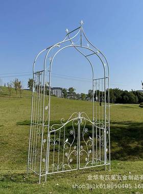铁艺葡萄铁线莲月花季拱架门架爬子藤架拱形攀爬植物支SNQ架庭院