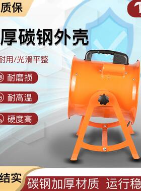 台尔便携式动手提风机船S电FT-300-36V110vRSF240v用风轴流机鼓风