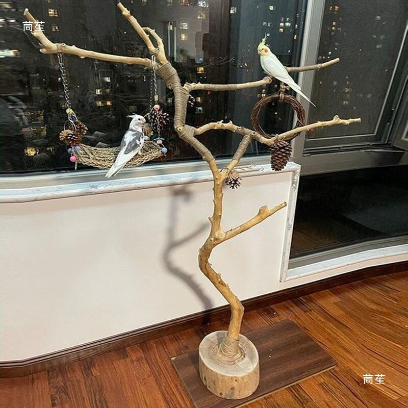 去皮原木枯枝干树枝艺术装饰图片