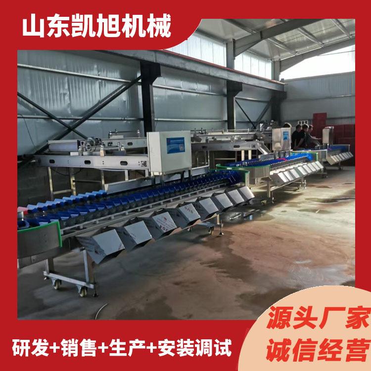 海参自分级机动参全自动重YKG量分选机汉果全自动重人罗量分选机