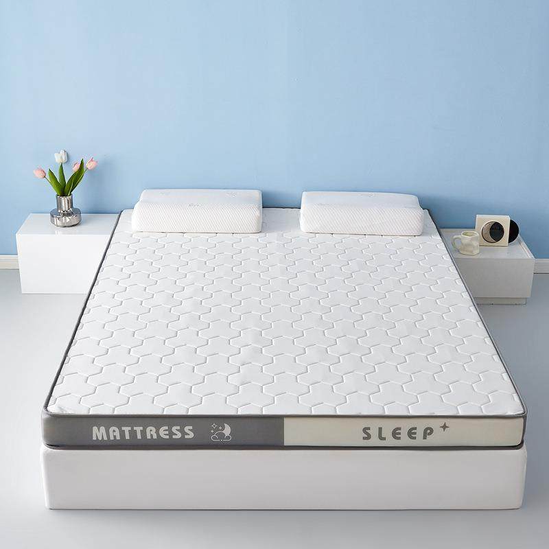 针TZT织乳胶记忆榻床软垫家学生垫宿舍担任榻用米床褥垫租房海绵,标准件/零部件/工业耗材,车间地垫,淘宝优惠券,粉丝福利购,淘宝优惠卷