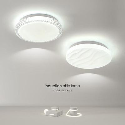 led体感应人灯达雷楼梯道灯走道过道灯光控顶灯入户玄吸关走DX790