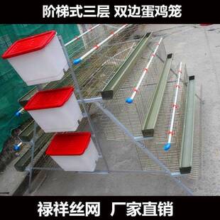 养场殖蛋鸡笼子家鸡鸭特大号三边BCB层双4用门5门阶梯式镀锌铁丝