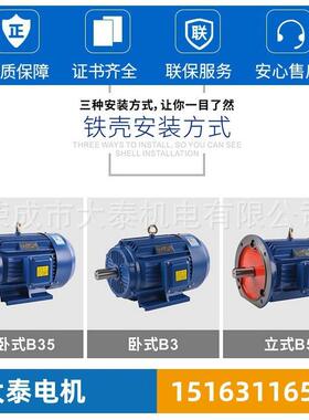 山东口KJZ大泰电机YE3-18M-2-22国KW标0全铜三相异步风机水泵出电