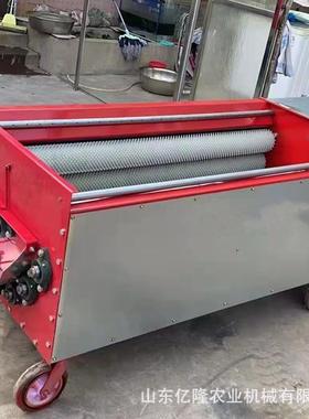 核桃青皮剥壳扒皮机山核桃皮清洗机去刷滚动NFG毛式水循环剥壳机