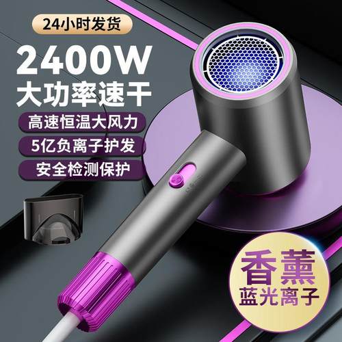 德国电吹风机家用发廊理发店专用大功率大风力速干负离子护发静音