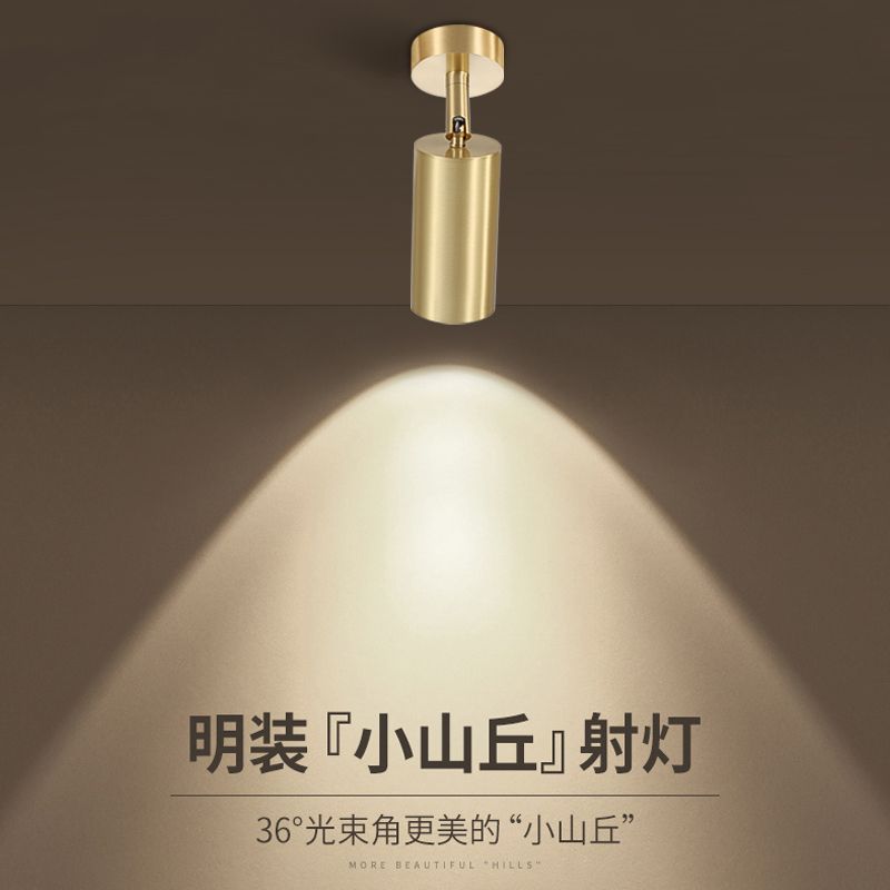 全铜明装射灯小山丘可调角度家用背景墙可调节嵌入式金色洗墙射灯