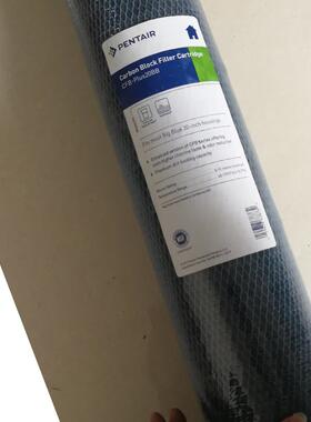 滨家特尔10寸滤芯滤庭寸自IAG来水除味滤芯20活性炭大胖芯