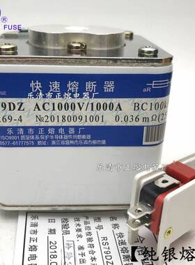 RS79D-100A00V/800A900A1RS79D0001100A1200A125A1500A快速熔断器