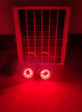 太灯能大阳红笼灯配套光源专用le646d灯植绒免插电红色氛围装饰泡