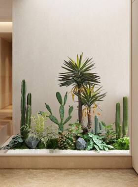 仿真绿植仙人楼梯下造景植室内景掌观仿生23812组合玄物关装饰