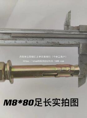 国膨标膨胀螺丝铁彩镀胀丝镀锌膨螺栓拉爆螺胀丝爆螺炸螺丝ZZSM8M