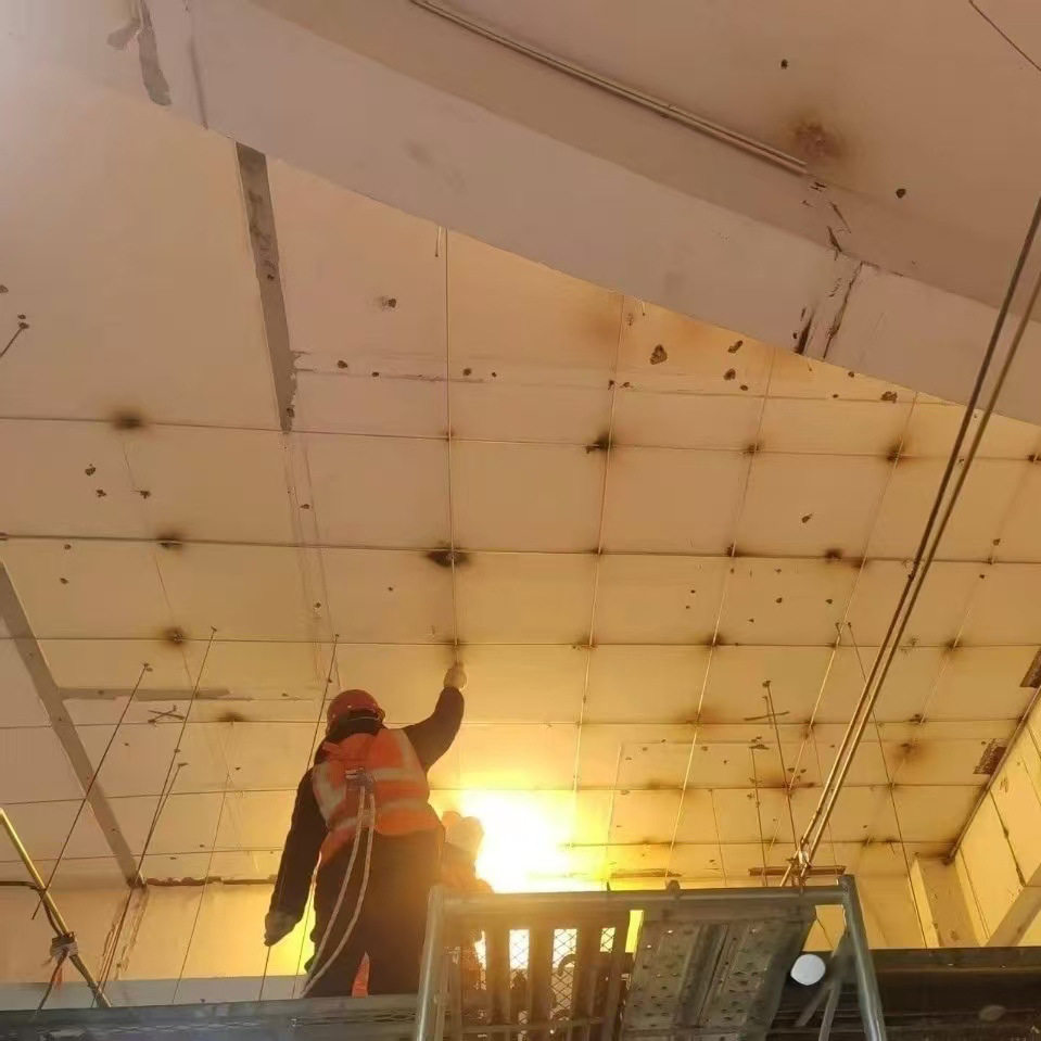 通讯机房数据中心接地线 电磁屏蔽法拉第笼施工 防雷厂家安全接地
