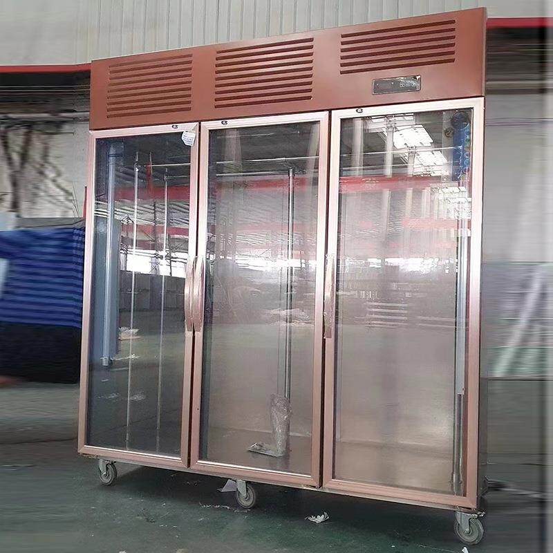 挂柜商用大容冷冻冷羊藏保鲜216冷柜挂肉牛肉立式冰柜吊肉柜量展
