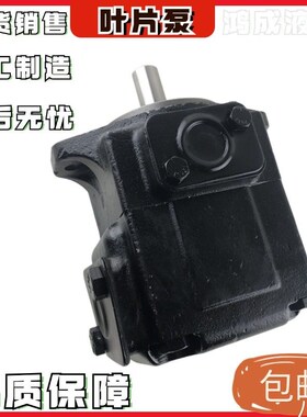 VT6C-010/003/012/014/017/020/022/028/031-1R00-B1维京叶片泵