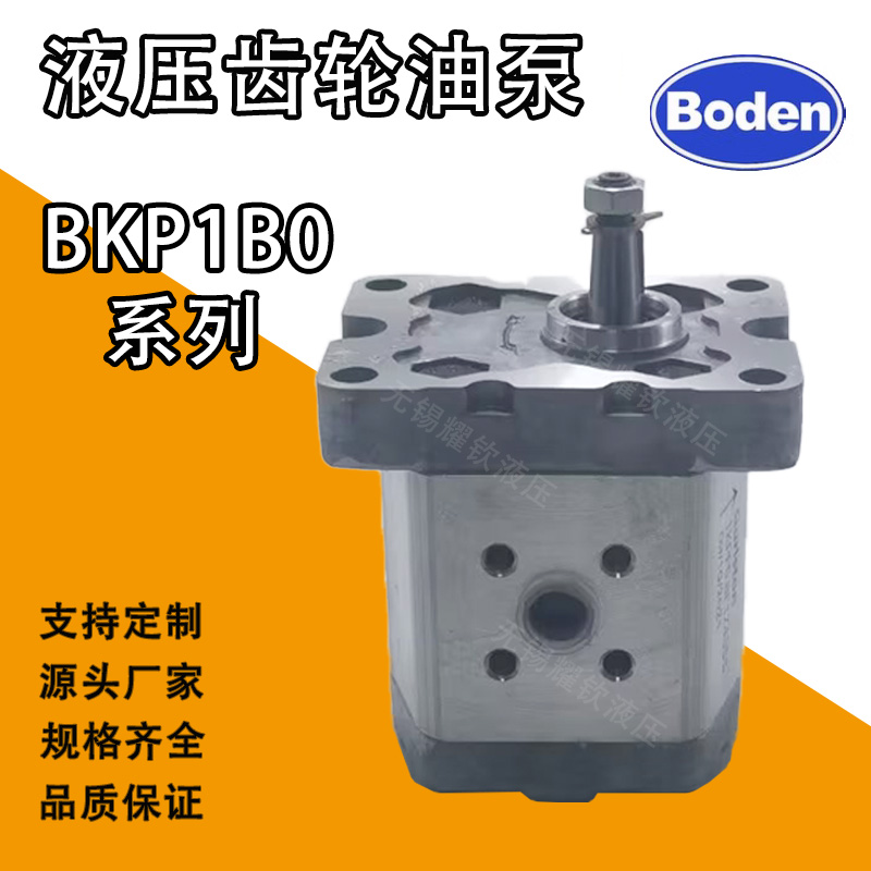 博顿BKP1B0D2.7T0L3/0.8/1.3/1.1/1.6/1.8/2.1/3.2/4.2T0L3齿轮泵