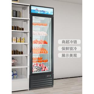 穗凌LD 冷霜冻展示柜温4单双门冷柜低无风GAA冷商用雪糕冰 60W立式