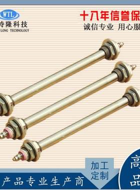 3工0CTV4不锈型钢单u电加热管业加热管保温烧大功率水加热棒电热