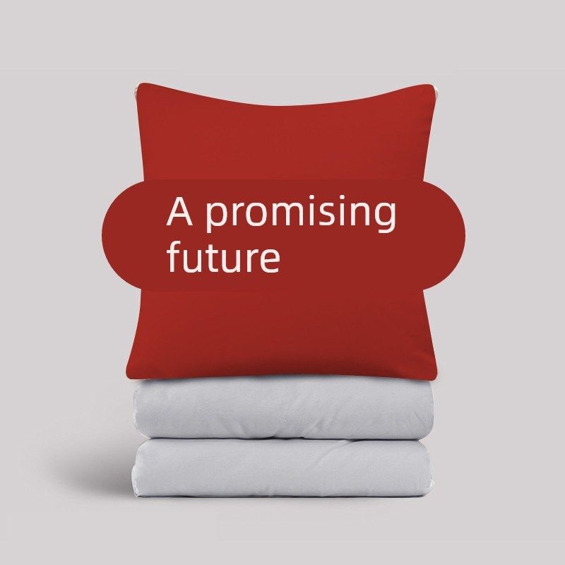 桔感 前程似锦 励志文字沙发靠垫枕头被子二合一午休抱枕被子两用,居家布艺,抱枕被,淘宝优惠券,粉丝福利购,淘宝优惠卷