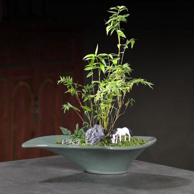 创意盆栽盆景陶瓷花盆室内桌面个性绿植大号透气多肉植物花器拼盘