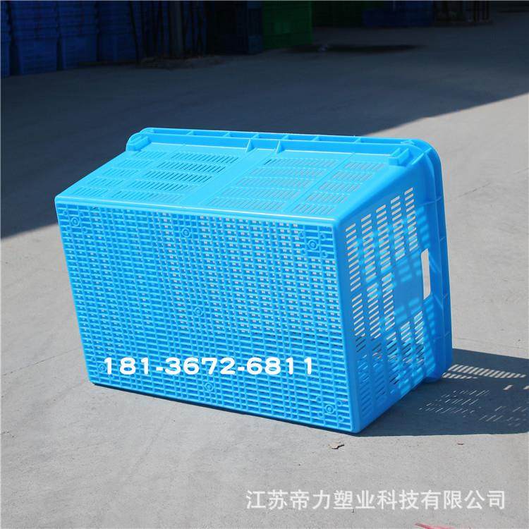 转790环箩长方形塑料筐耐磨耐用保BVK料新材塑料周箱