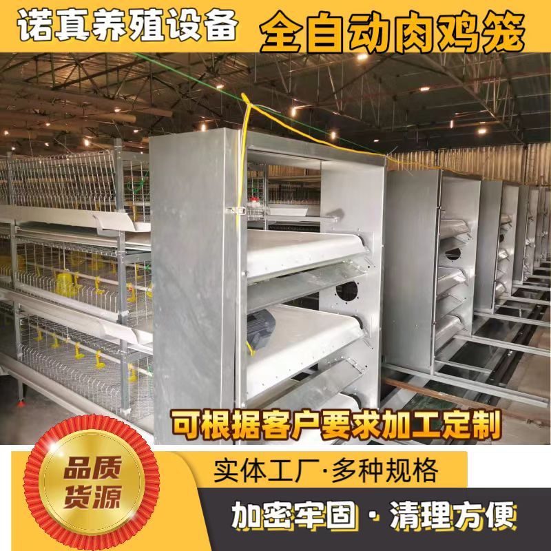 全自动喂料鸡鸭鹅养殖线