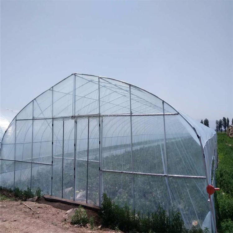 休闲po膜覆盖薄膜温室智能双拱双模圆拱形拱棚蓝莓育苗基地