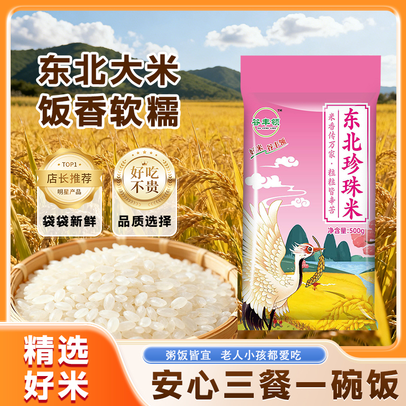 黑土种植圆粒东北珍珠米