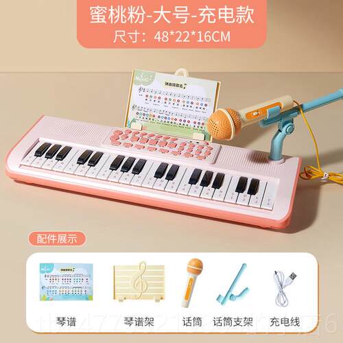 正品电琴儿童乐器初具学玩宝宝钢幼儿男女孩小琴入门子可弹奏生日
