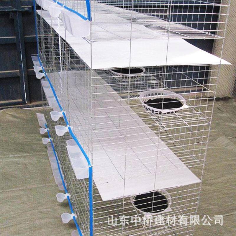养殖笼笼鸡笼子专用蛋鸡加密加KGX小粗防跑育四层立体养鸡设备雏图片