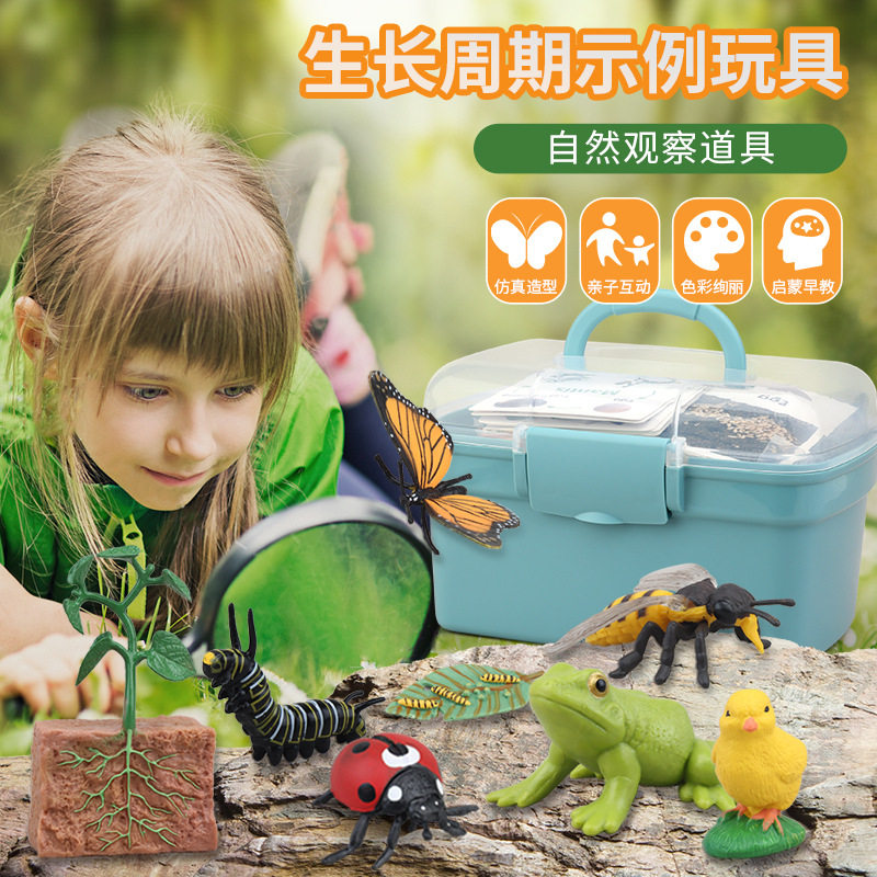 跨境儿童玩具蒙氏幼儿教具动物植物生长周期认知模型8款卡片套装