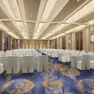 酒店地毯1000地克尼过B佳鑫10001阻燃龙毯通道走道满铺印花地毯宴