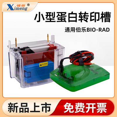 通用bio-rad伯乐wb蛋白转印槽湿转2块胶多孔海绵垫冰盒转印电极芯
