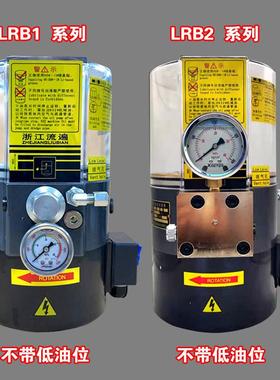 浙江流遍油脂润滑泵LRB2脂-K03/3ZKI电动黄泵LRB1-油K28510/2ZII