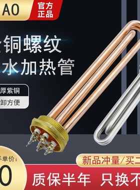 加厚紫铜水箱电热管加热管热得快大功率发热管螺纹电热棒dn40dn50