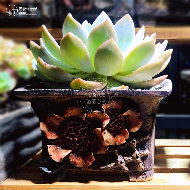 青藤花器多肉花盆缀化法师老桩透气高盆粗陶方形口盆韩式复古手绘