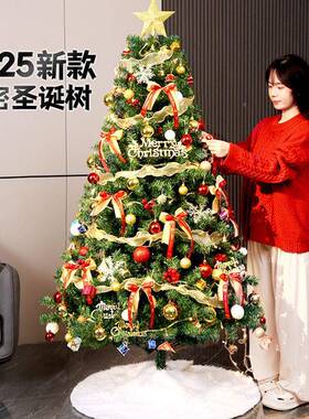圣诞树225新款0家用652dy套餐加密i级感ins风圣诞节装饰客高厅摆