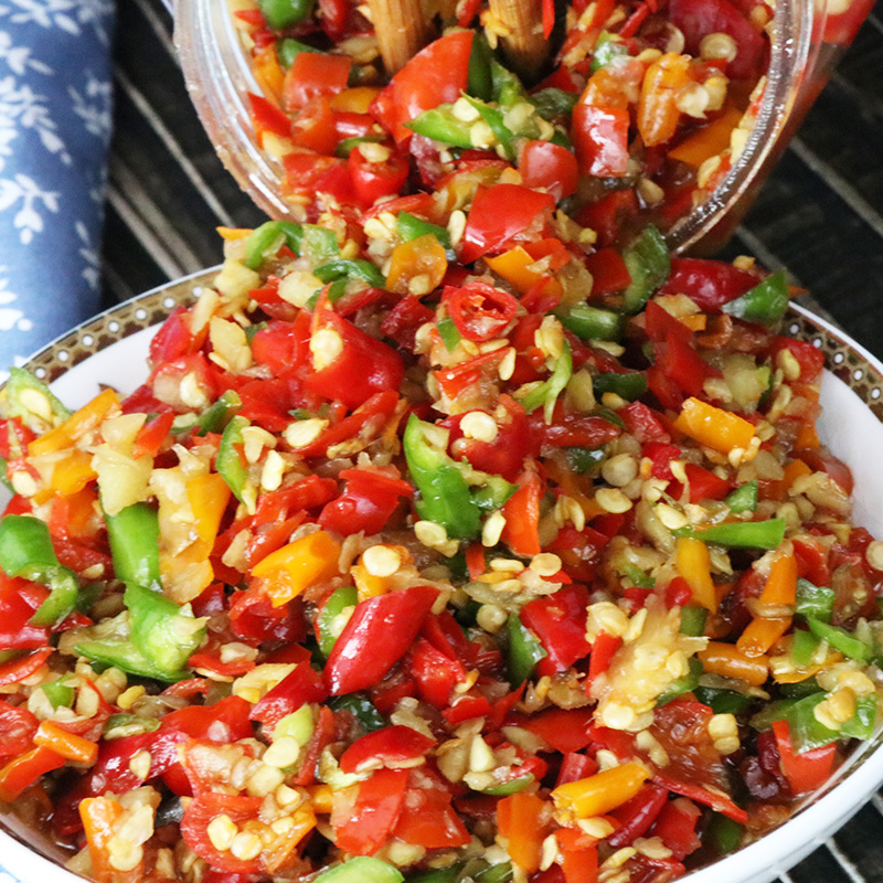 家用绞肉机搅拌饺馅小型碎菜料理多功能打蒜泥器剁自制蒜蓉辣椒酱